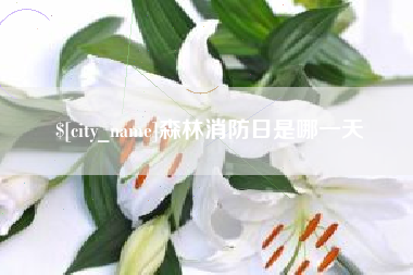 巴音郭楞蒙古森林消防日是哪一天