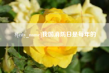 巴音郭楞蒙古我国消防日是每年的