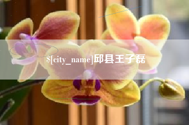 巴音郭楞蒙古邱县王子磊