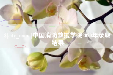 巴音郭楞蒙古中国消防救援学院2020年录取结果