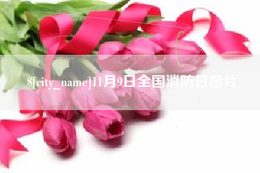 巴音郭楞蒙古11月9日全国消防日图片