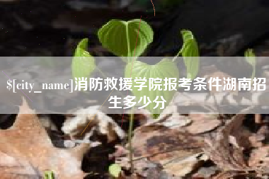 巴音郭楞蒙古消防救援学院报考条件湖南招生多少分