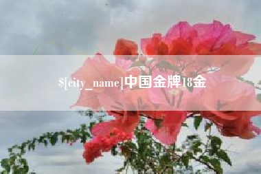 巴音郭楞蒙古中国金牌18金