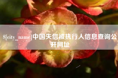 巴音郭楞蒙古中国失信被执行人信息查询公开网址