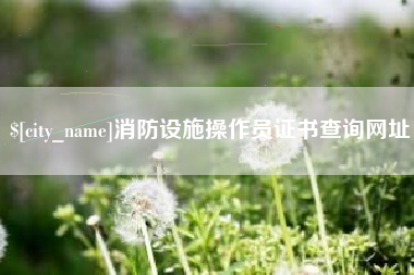 巴音郭楞蒙古消防设施操作员证书查询网址