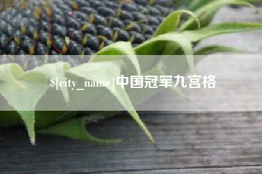 巴音郭楞蒙古中国冠军九宫格