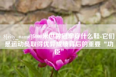 巴音郭楞蒙古5000米世界冠军穿什么鞋-它们是运动员取得优异成绩背后的重要“功臣”