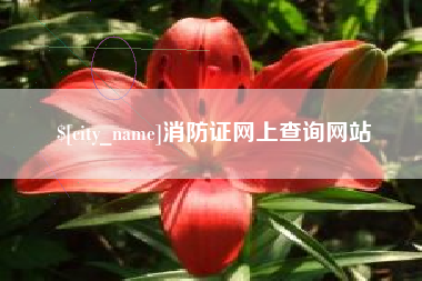 巴音郭楞蒙古消防证网上查询网站