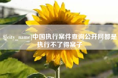 巴音郭楞蒙古中国执行案件查询公开网都是执行不了得案子