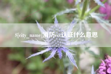 巴音郭楞蒙古消防ccc认证什么意思