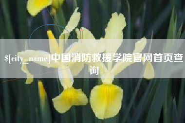 巴音郭楞蒙古中国消防救援学院官网首页查询