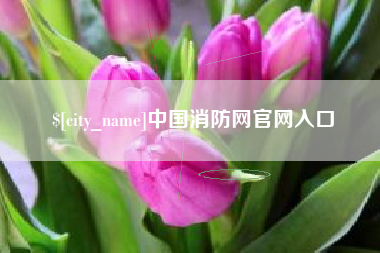 巴音郭楞蒙古中国消防网官网入口