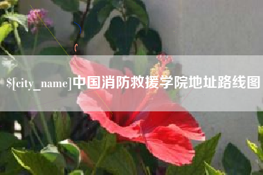 巴音郭楞蒙古中国消防救援学院地址路线图