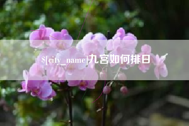 巴音郭楞蒙古九宫如何排日