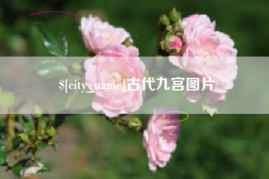 巴音郭楞蒙古古代九宫图片