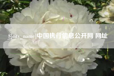 巴音郭楞蒙古中国执行信息公开网 网址