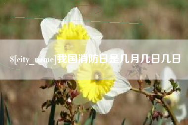 巴音郭楞蒙古我国消防日是几月几日几日