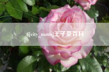 巴音郭楞蒙古王子豪百科