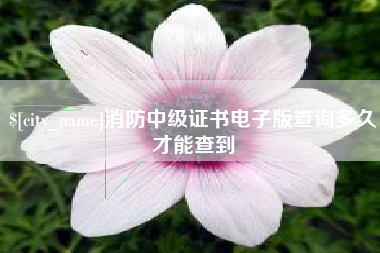巴音郭楞蒙古消防中级证书电子版查询多久才能查到