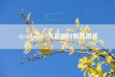 巴音郭楞蒙古九宫图分割线图片