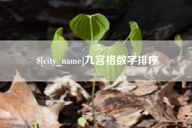 巴音郭楞蒙古九宫格数字排序
