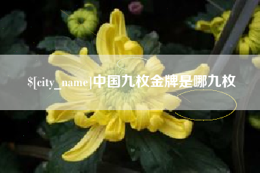 巴音郭楞蒙古中国九枚金牌是哪九枚