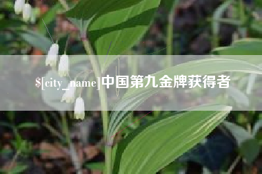 巴音郭楞蒙古中国第九金牌获得者