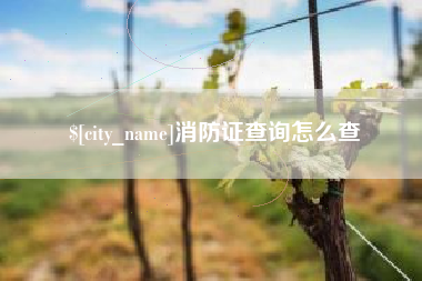 巴音郭楞蒙古消防证查询怎么查