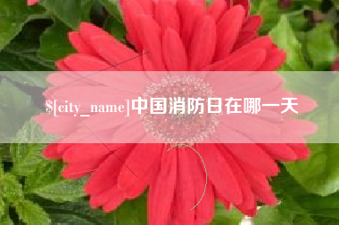巴音郭楞蒙古中国消防日在哪一天