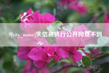 巴音郭楞蒙古失信被执行公开网查不到