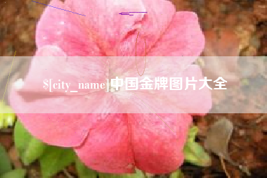 巴音郭楞蒙古中国金牌图片大全