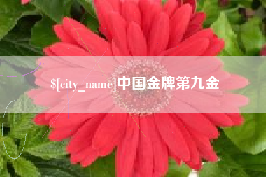 巴音郭楞蒙古中国金牌第九金