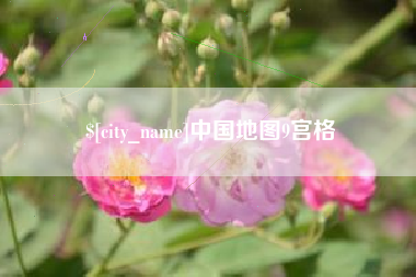 巴音郭楞蒙古中国地图9宫格