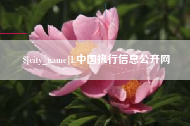 巴音郭楞蒙古1.中国执行信息公开网