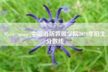 巴音郭楞蒙古中国消防救援学院2024年招生分数线