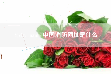 巴音郭楞蒙古中国消防网址是什么