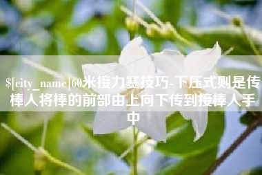 巴音郭楞蒙古60米接力赛技巧-下压式则是传棒人将棒的前部由上向下传到接棒人手中
