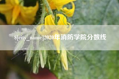 巴音郭楞蒙古2020年消防学院分数线