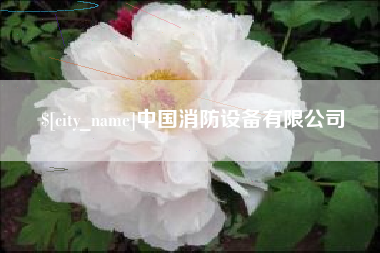 巴音郭楞蒙古中国消防设备有限公司
