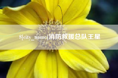 巴音郭楞蒙古消防救援总队王星