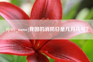 巴音郭楞蒙古我国的消防日是几月几号？
