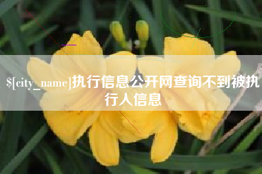 巴音郭楞蒙古执行信息公开网查询不到被执行人信息