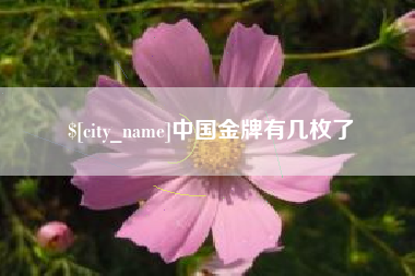 巴音郭楞蒙古中国金牌有几枚了