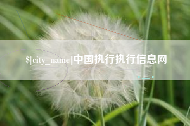 巴音郭楞蒙古中国执行执行信息网