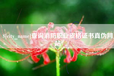 巴音郭楞蒙古查询消防职业资格证书真伪网站
