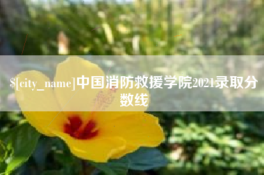 巴音郭楞蒙古中国消防救援学院2021录取分数线