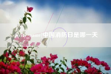 巴音郭楞蒙古中国消防日是哪一天