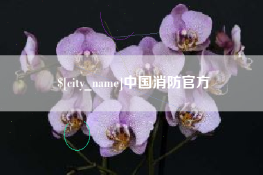 巴音郭楞蒙古中国消防官方