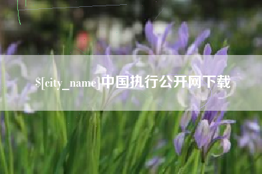 巴音郭楞蒙古中国执行公开网下载