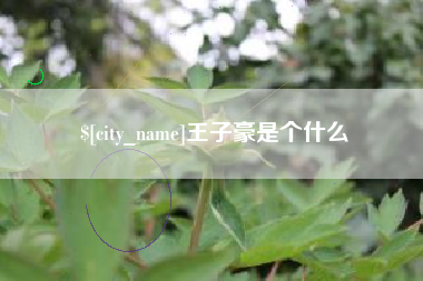 巴音郭楞蒙古王子豪是个什么